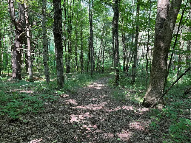 $99,900 | 357 Cable Road, Amboy, NY 13493