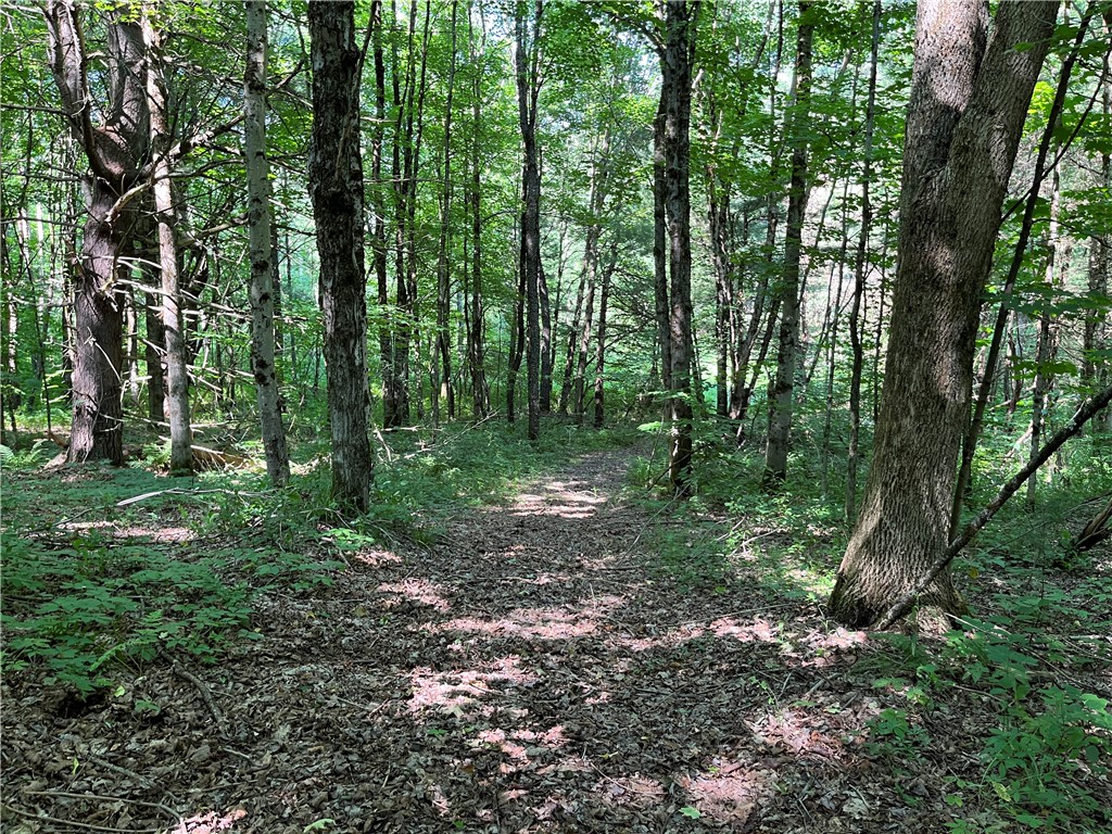 357 Cable Road Amboy, NY 13493 - Photo 34 of 50