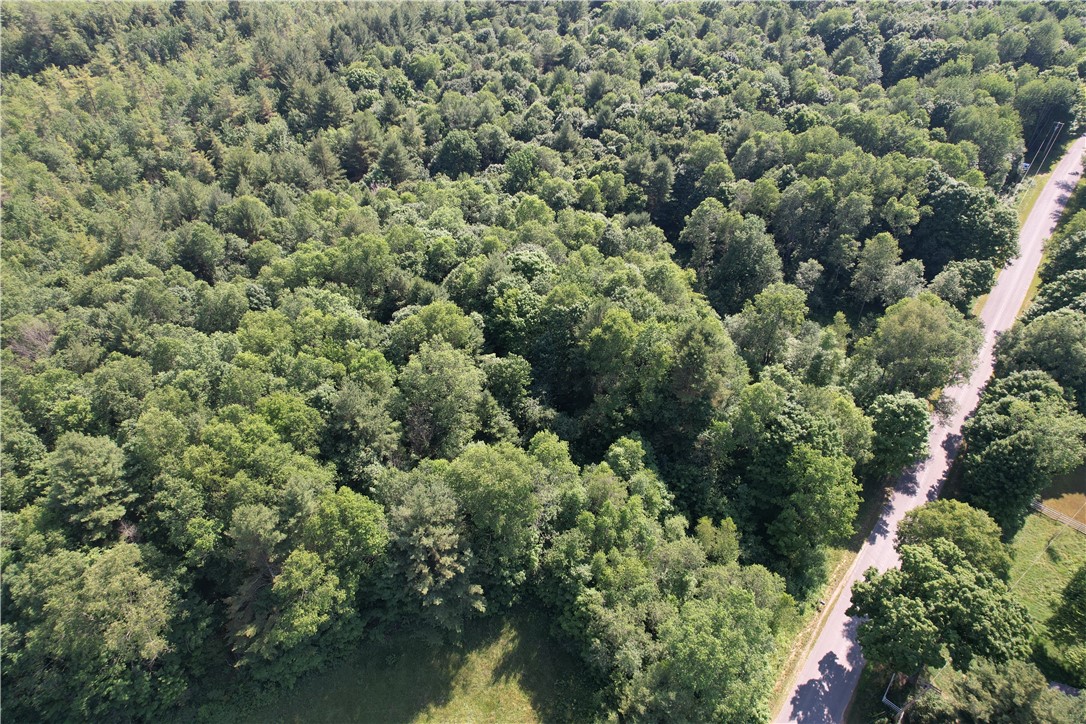 357 Cable Road Amboy, NY 13493 - Photo 37 of 50