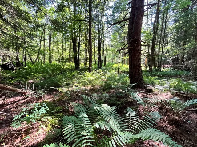 $99,900 | 357 Cable Road, Amboy, NY 13493