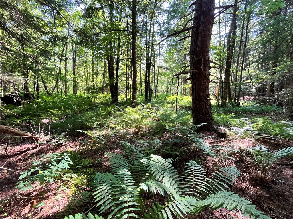 357 Cable Road Amboy, NY 13493 - Photo 43 of 50