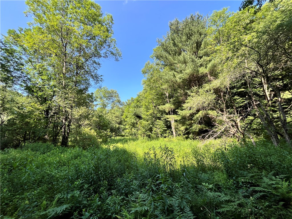 357 Cable Road Amboy, NY 13493 - Photo 45 of 50