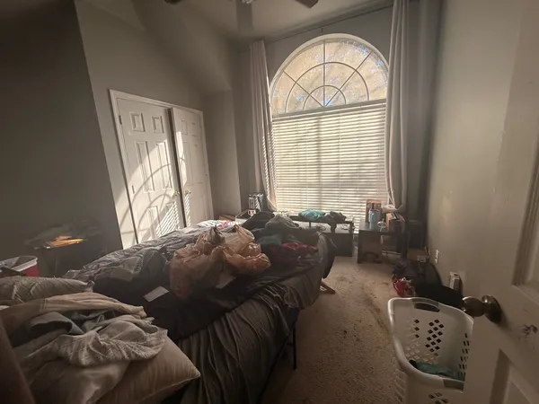 a living room with a bed furniture and a window