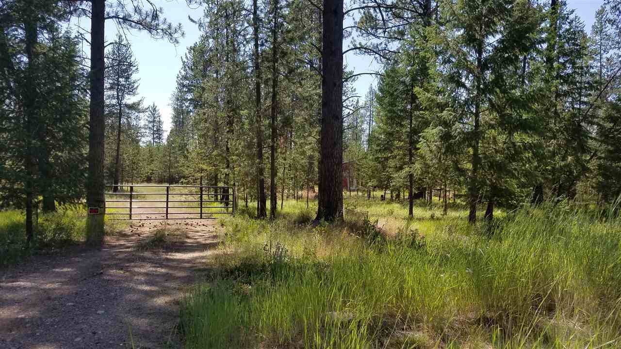 3780 East Jump Off Road Valley, WA 99181 - Photo 3 of 20