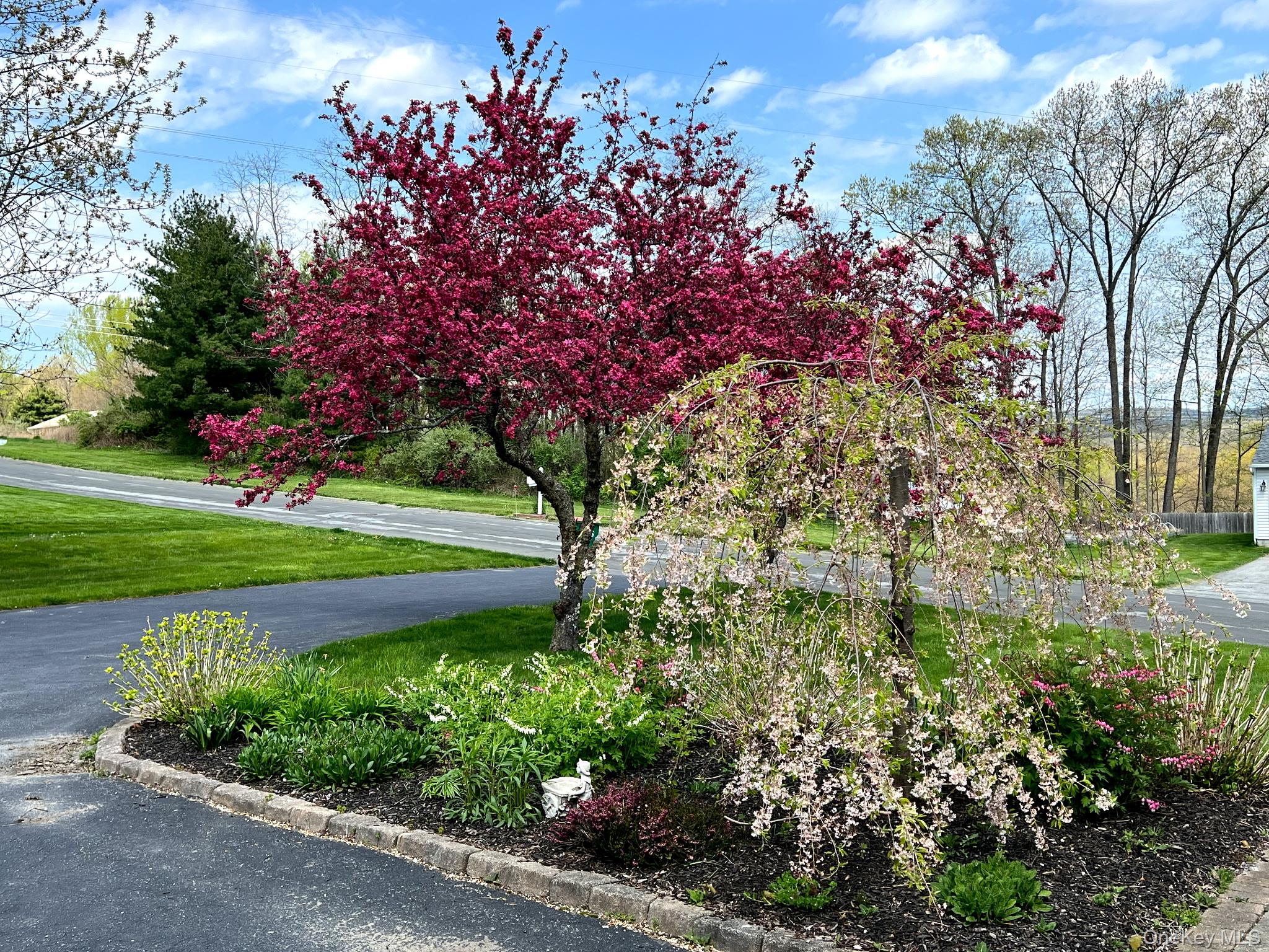 191 Forest Valley Road Pleasant Valley, NY 12569 - Photo 37 of 45 a view of a park with large trees