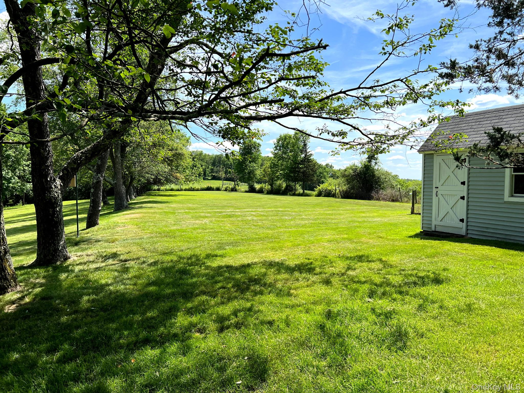 191 Forest Valley Road Pleasant Valley, NY 12569 - Photo 38 of 45 a view of a trees in a yard