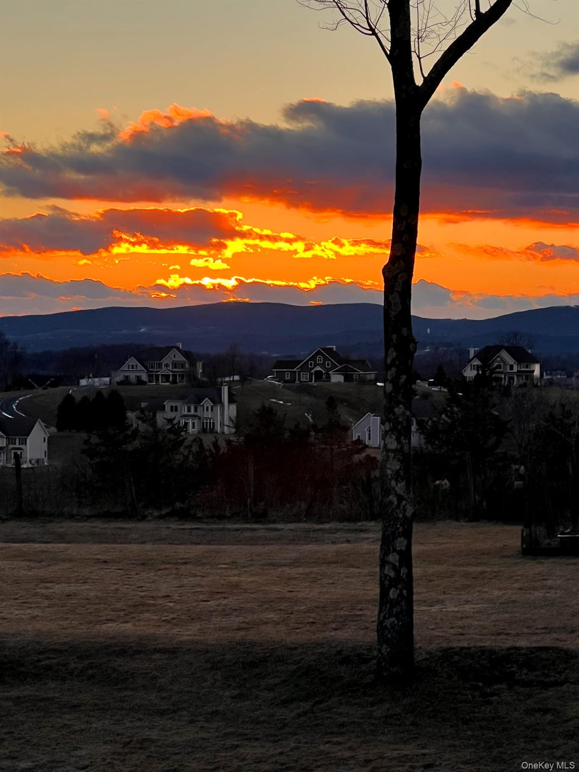 191 Forest Valley Road Pleasant Valley, NY 12569 - Photo 40 of 45 a view of outdoor space and yard