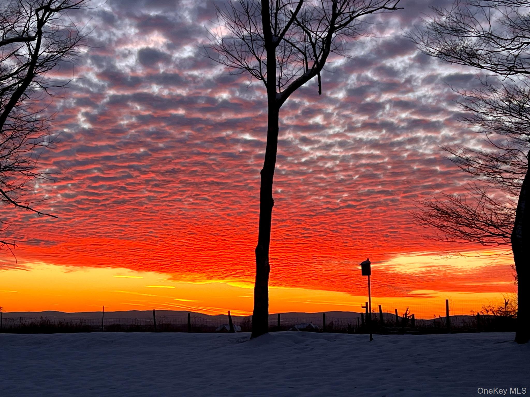 191 Forest Valley Road Pleasant Valley, NY 12569 - Photo 5 of 45 a view of a yard