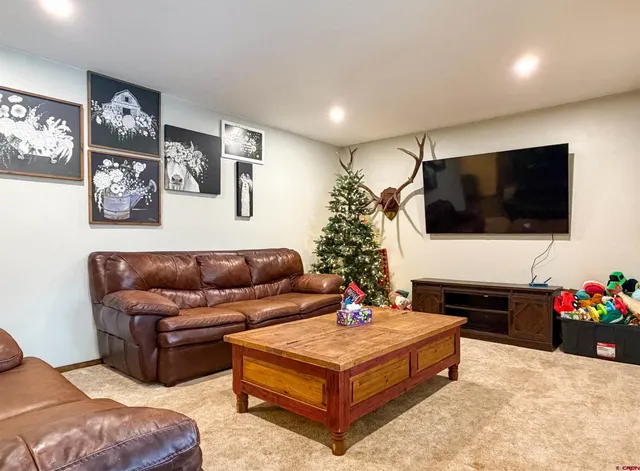 $419,900 | 114 Meadowbrook Court, Paonia, CO 81428