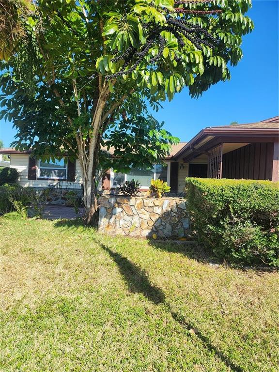 7021 Sonata Drive Port Richey, FL 34668 - Photo 13 of 14 a view of a house with a yard