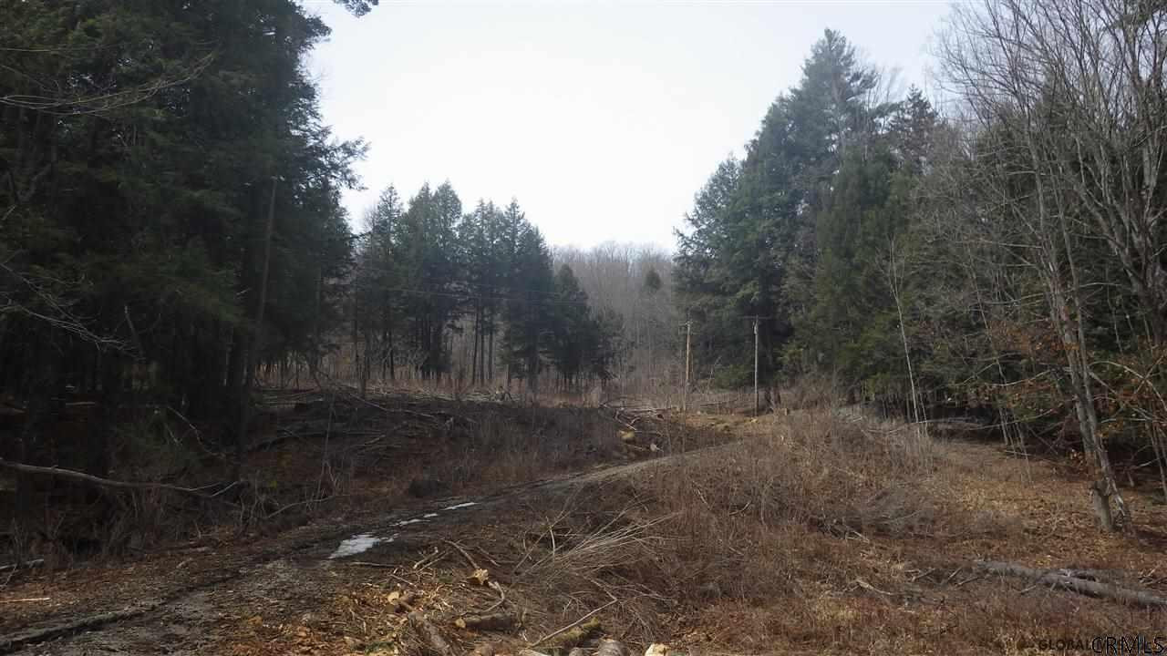 305 River Road Benson, NY 12134 - Photo 1 of 4 Photo 1