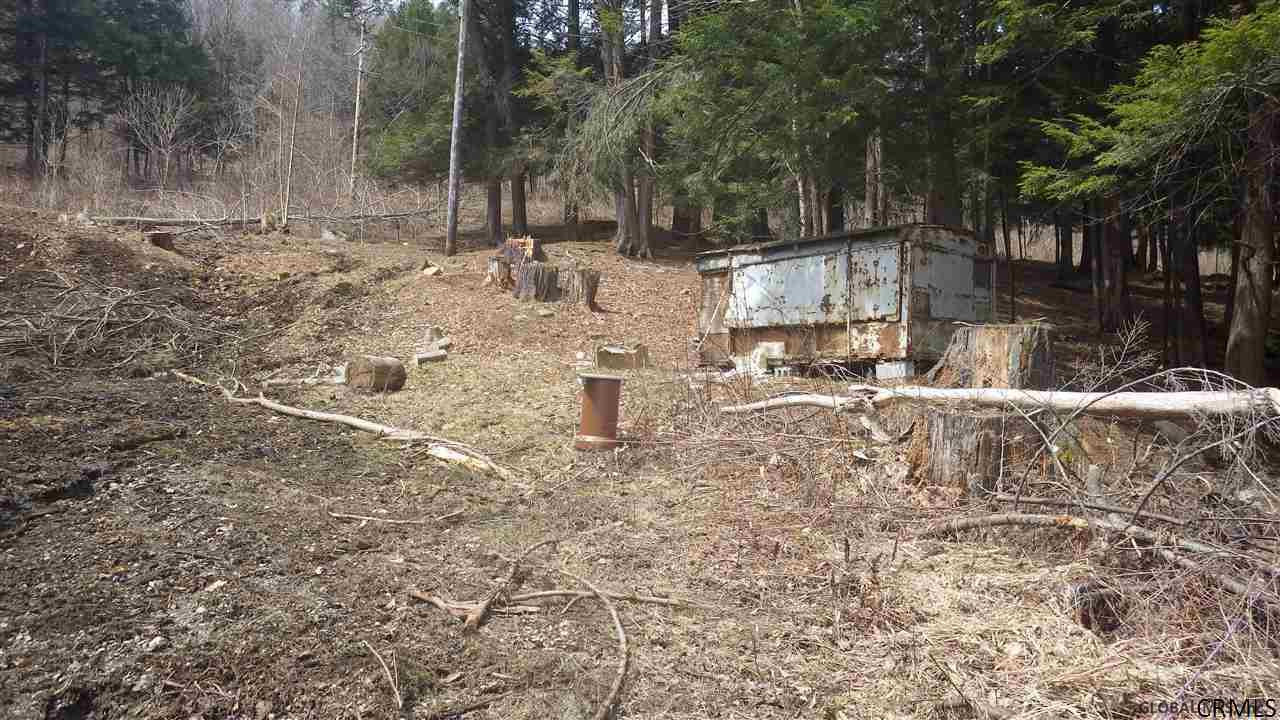 305 River Road Benson, NY 12134 - Photo 4 of 4 Photo 4