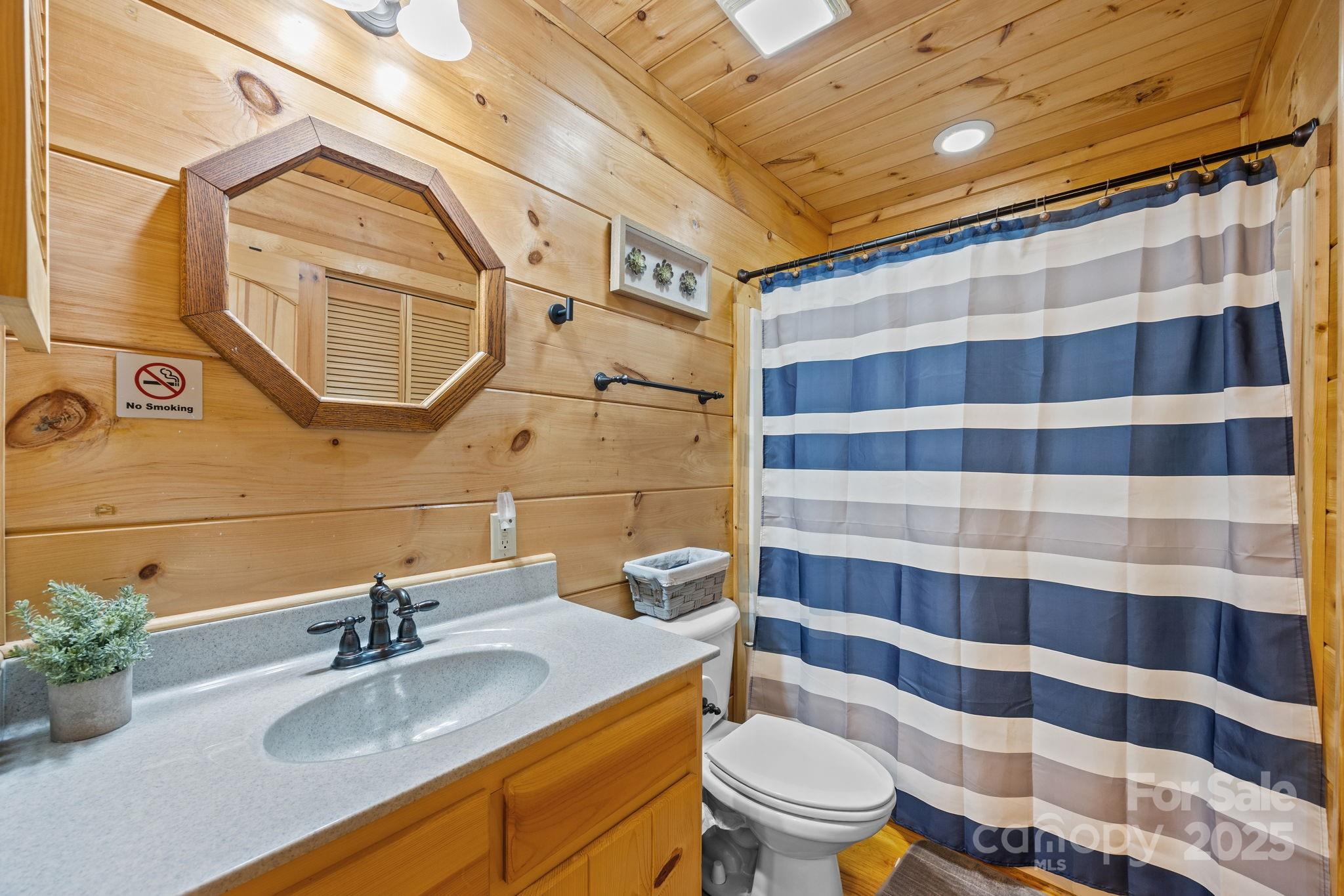 749 Buck Road Tryon, NC 28782 - Photo 25 of 45 a bathroom with a sink toilet and shower
