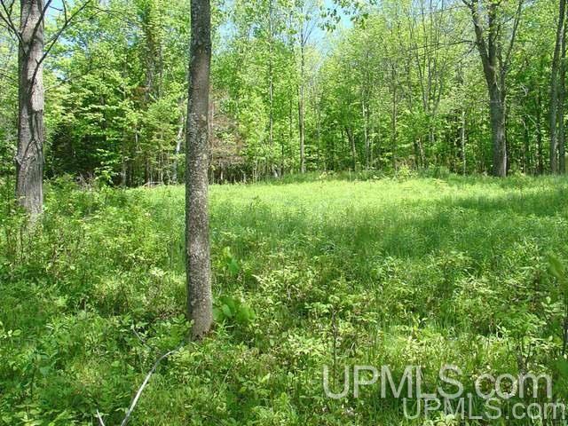 11030 East Shore Road Ewen, MI 49925 - Photo 5 of 6