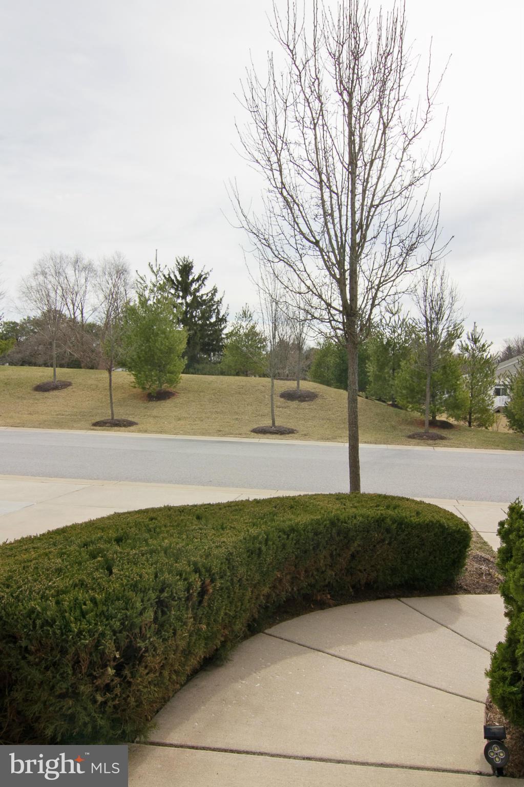 8485 Grove Angle Road, Unit 11 Ellicott City, MD 21043 - Photo 27 of 28 View from front door