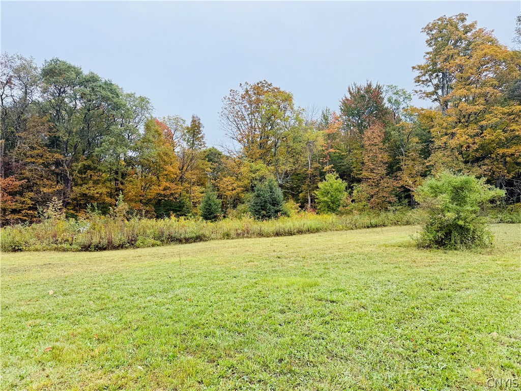 2877 Potter Road Osceola, NY 13437 - Photo 8 of 14 Gallery Image 8