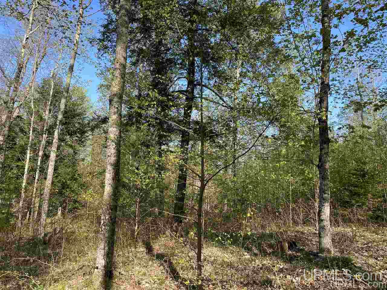 Tbd Sand Road, Unit 1 Powers, MI 49874 - Photo 32 of 47 Gallery Image 32