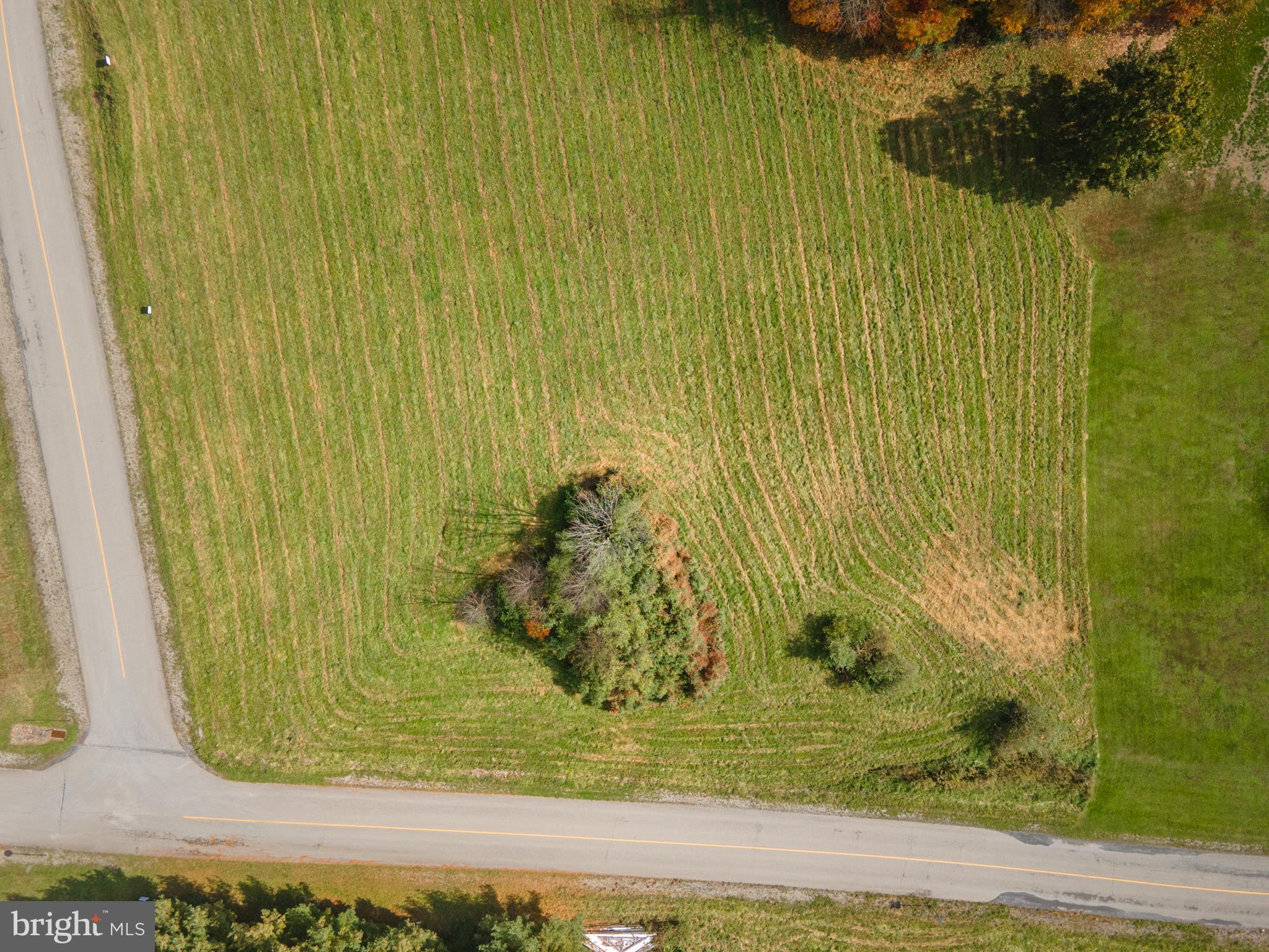 Lot 25 Ricks Road New Ringgold, PA 17960 - Photo 8 of 18 Gallery Image 8
