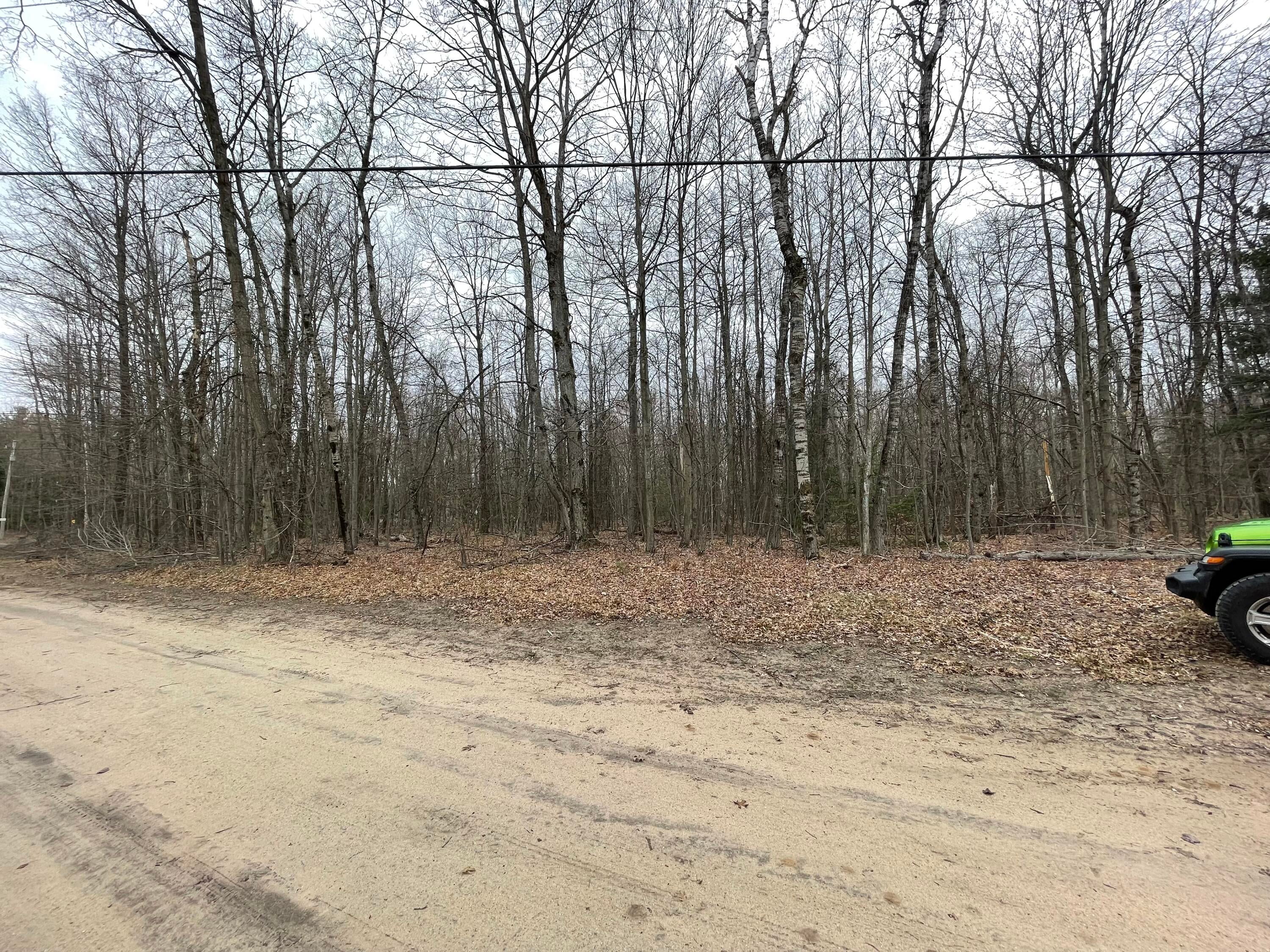 Bunyak Road Sterling, MI 48659 - Photo 4 of 7 Gallery Image 4