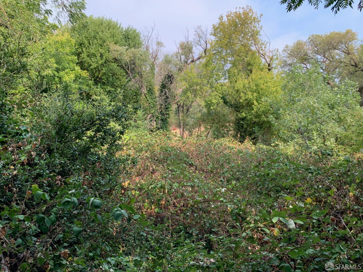 4265 San Pablo Dam Road El Sobrante, CA 94803 - Photo 13 of 24