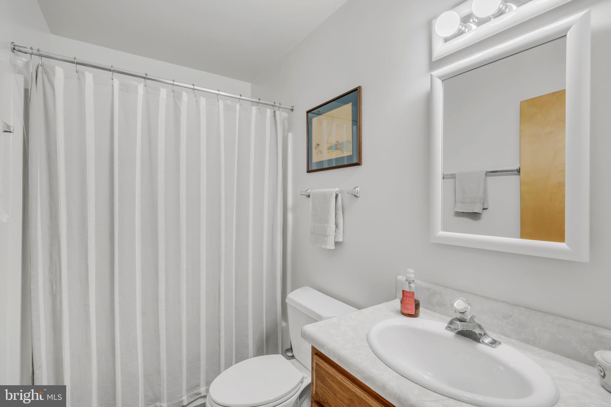 33 Lagrange Avenue Kilmarnock, VA 22482 - Photo 76 of 84 a bathroom with a sink vanity mirror and toilet