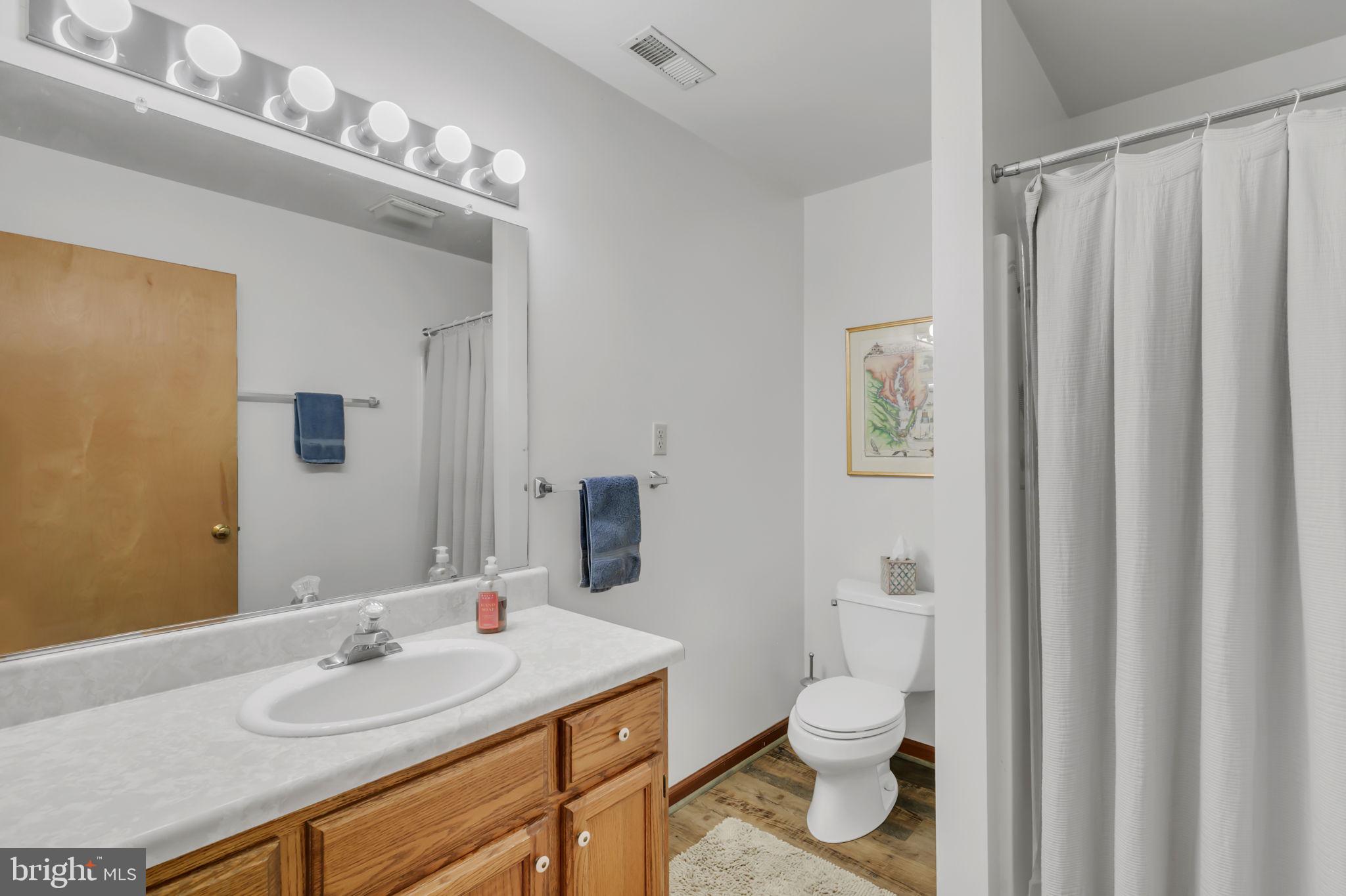 33 Lagrange Avenue Kilmarnock, VA 22482 - Photo 78 of 84 a bathroom with a granite countertop toilet a sink and a mirror