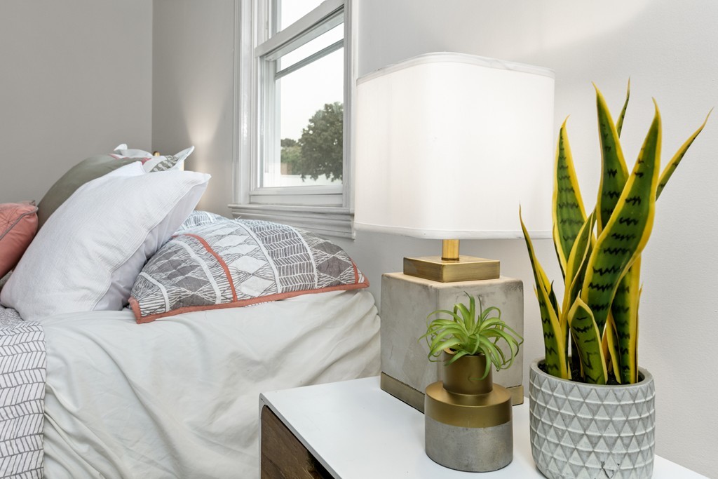 56 Brookbridge Road Stoneham, MA 02180 - Photo 21 of 30 Gallery Image 21