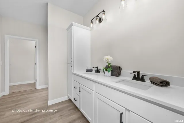 a kitchen with a sink and a potted plant