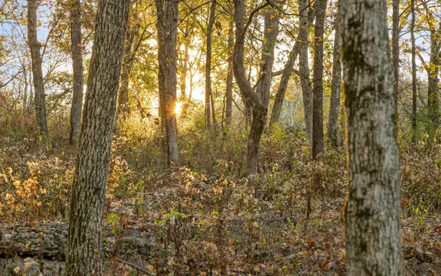 $800,000 | 661 Jill Lane, Chickamauga, GA 30707