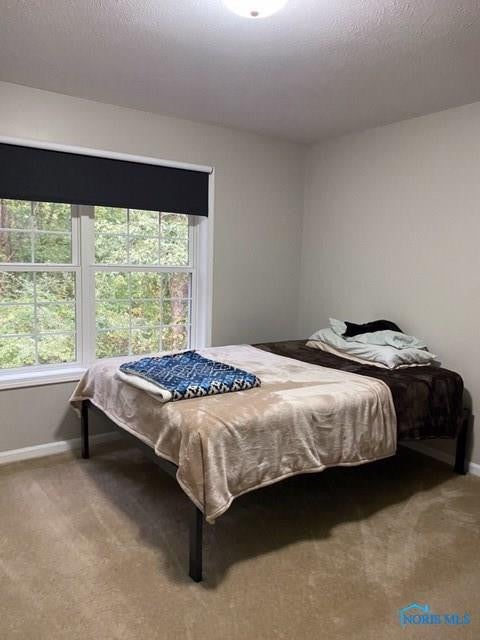 555 South Eber Road Swanton, OH 43558 - Photo 17 of 20 Gallery Image 17