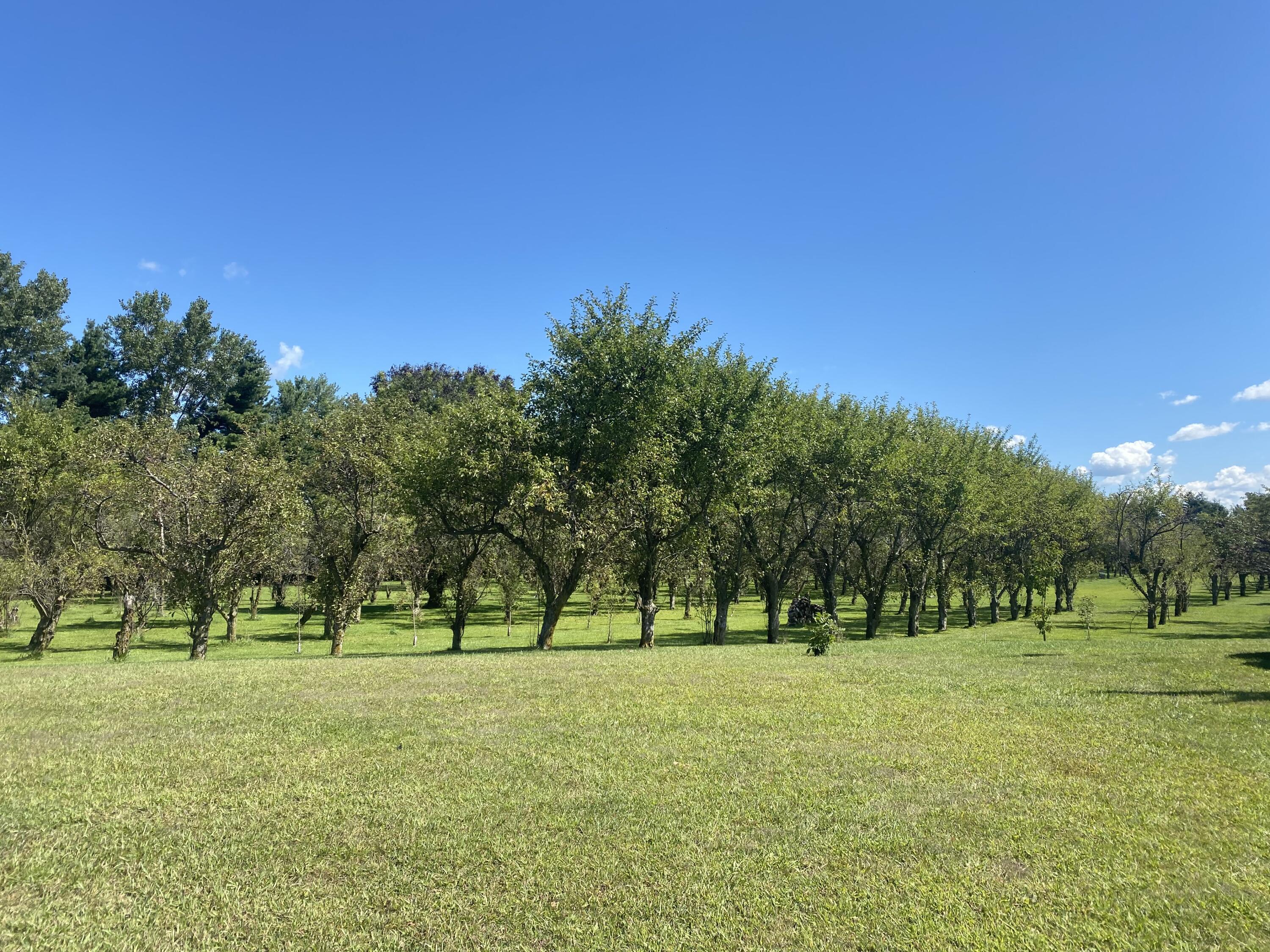 9860 Highway 421 Francesville, IN 47946 - Photo 39 of 57 3000x2250