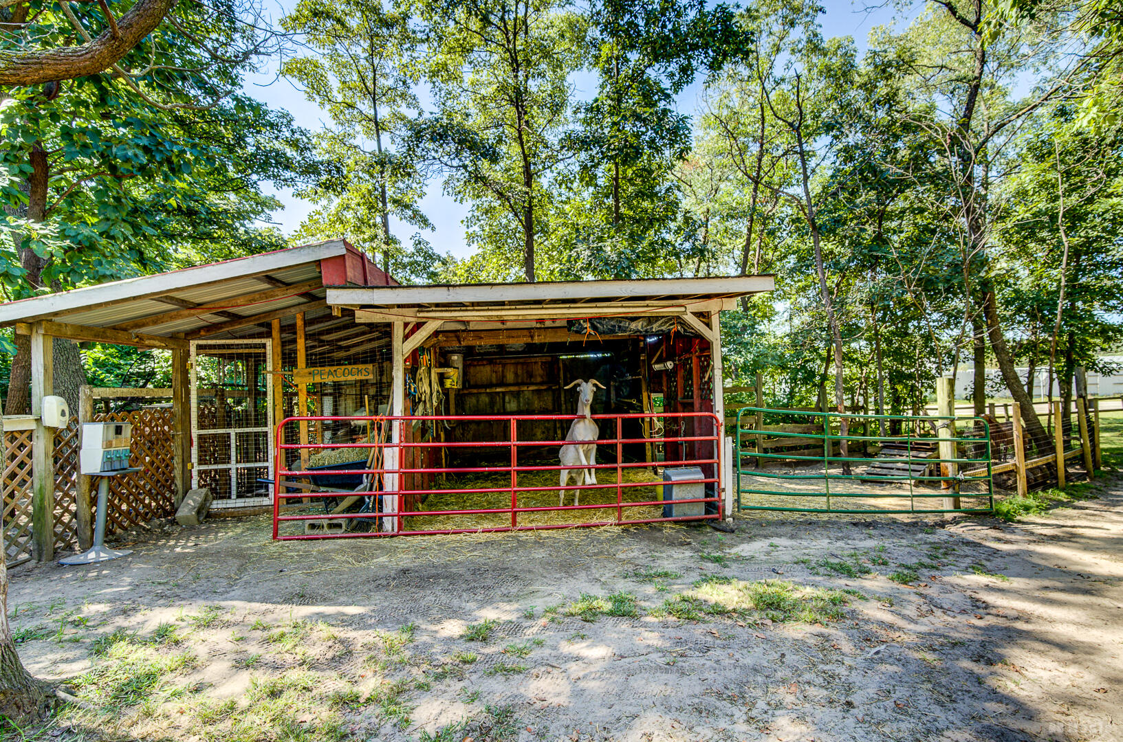 9860 Highway 421 Francesville, IN 47946 - Photo 45 of 57 1633x1080