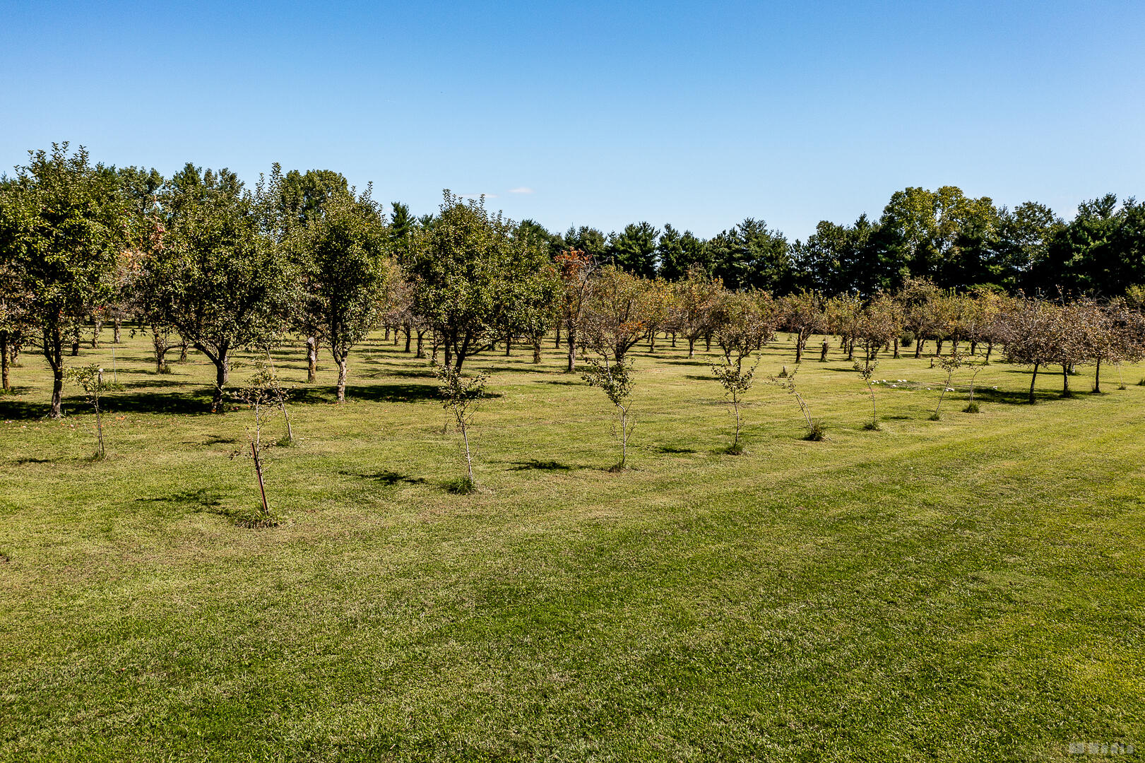 9860 Highway 421 Francesville, IN 47946 - Photo 48 of 57 1621x1080