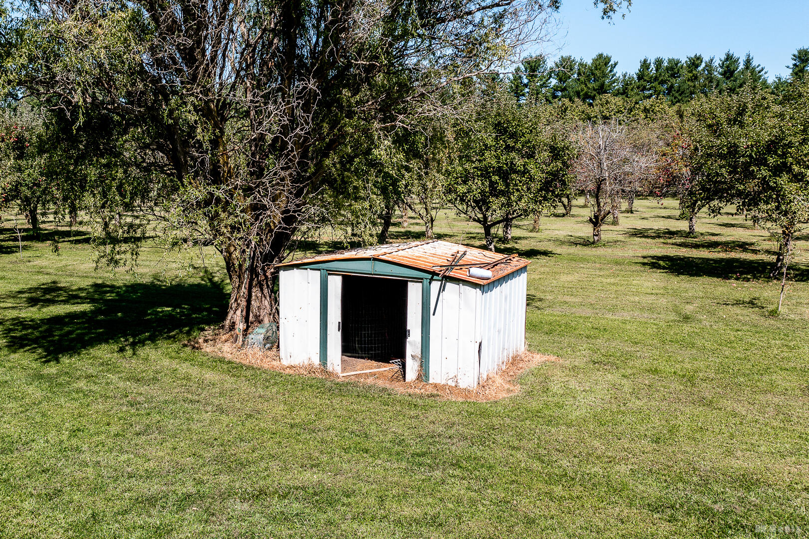 9860 Highway 421 Francesville, IN 47946 - Photo 49 of 57 1621x1080