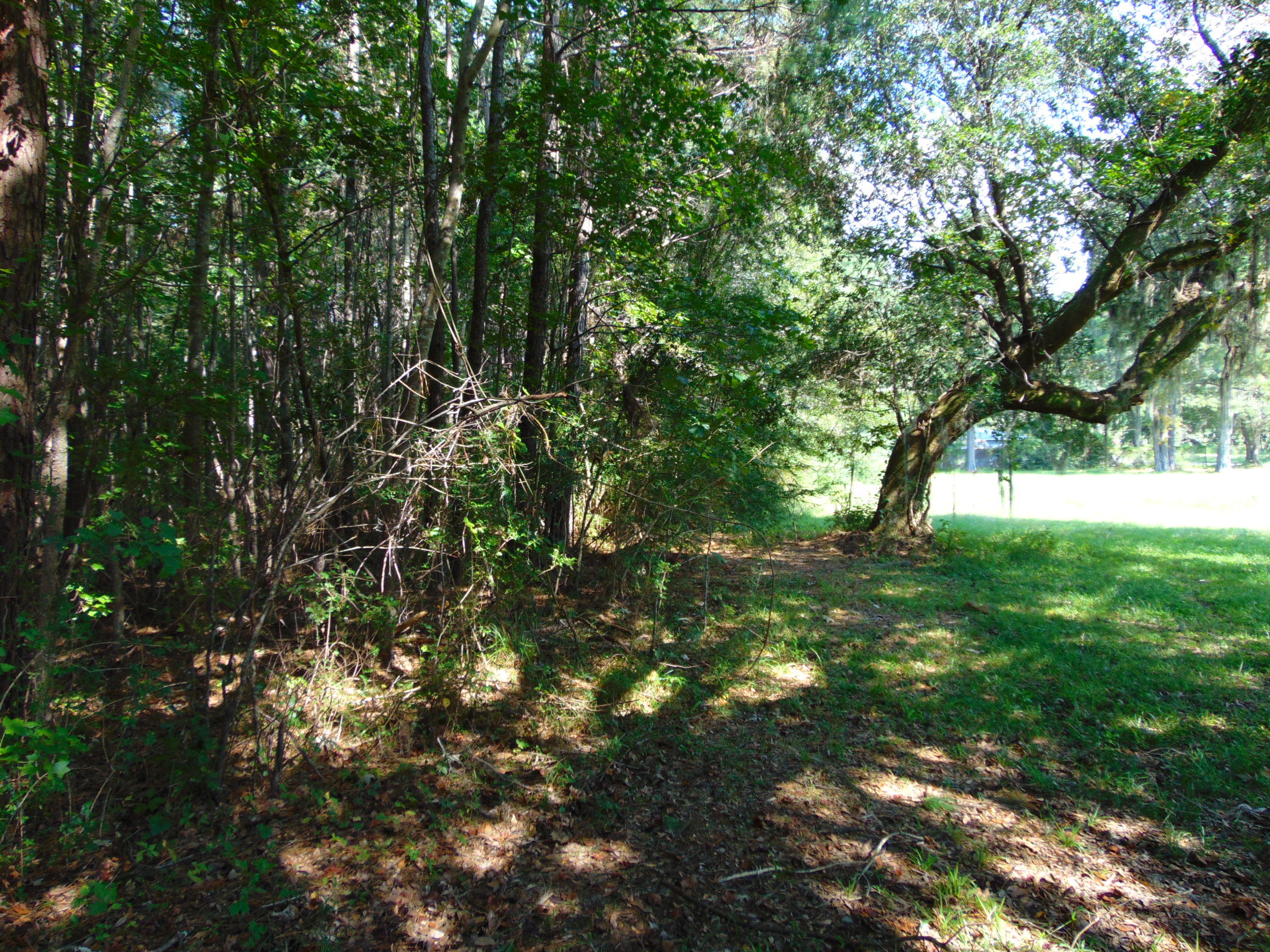 5857 Parkers Ferry Road Adams Run, SC 29426 - Photo 14 of 22 DSC00130