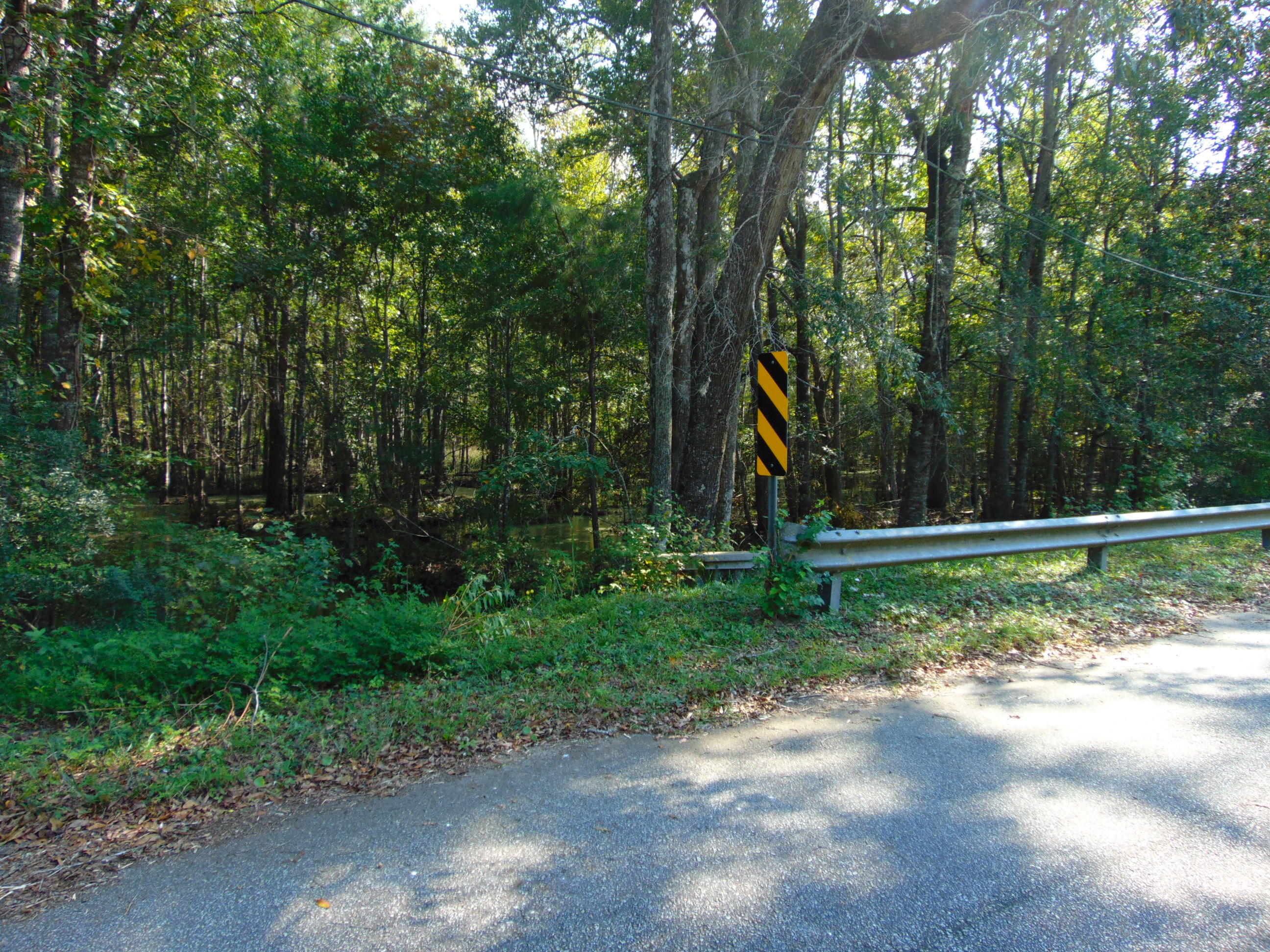 5857 Parkers Ferry Road Adams Run, SC 29426 - Photo 19 of 22 DSC00148