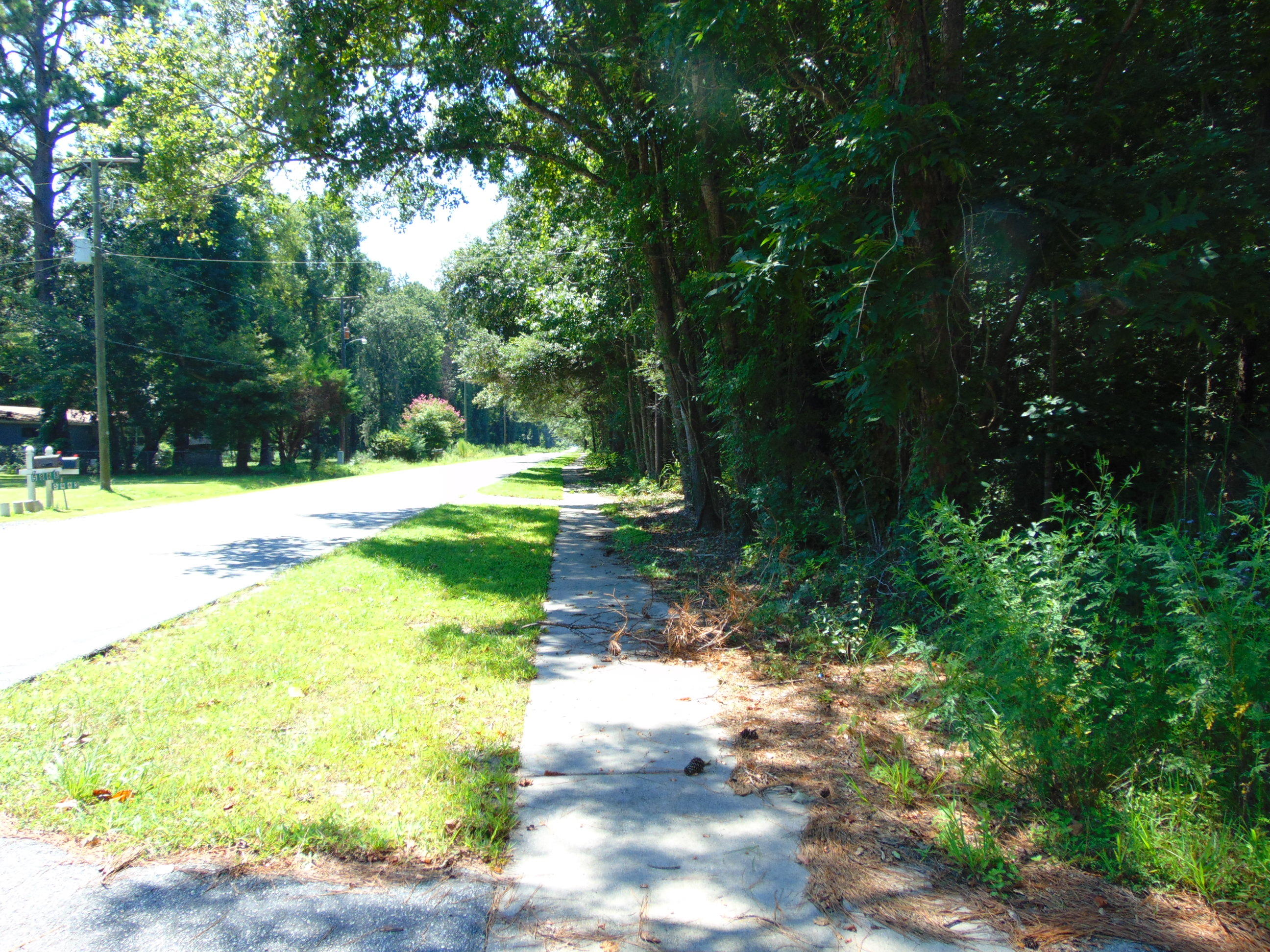5857 Parkers Ferry Road Adams Run, SC 29426 - Photo 3 of 22 DSC00831