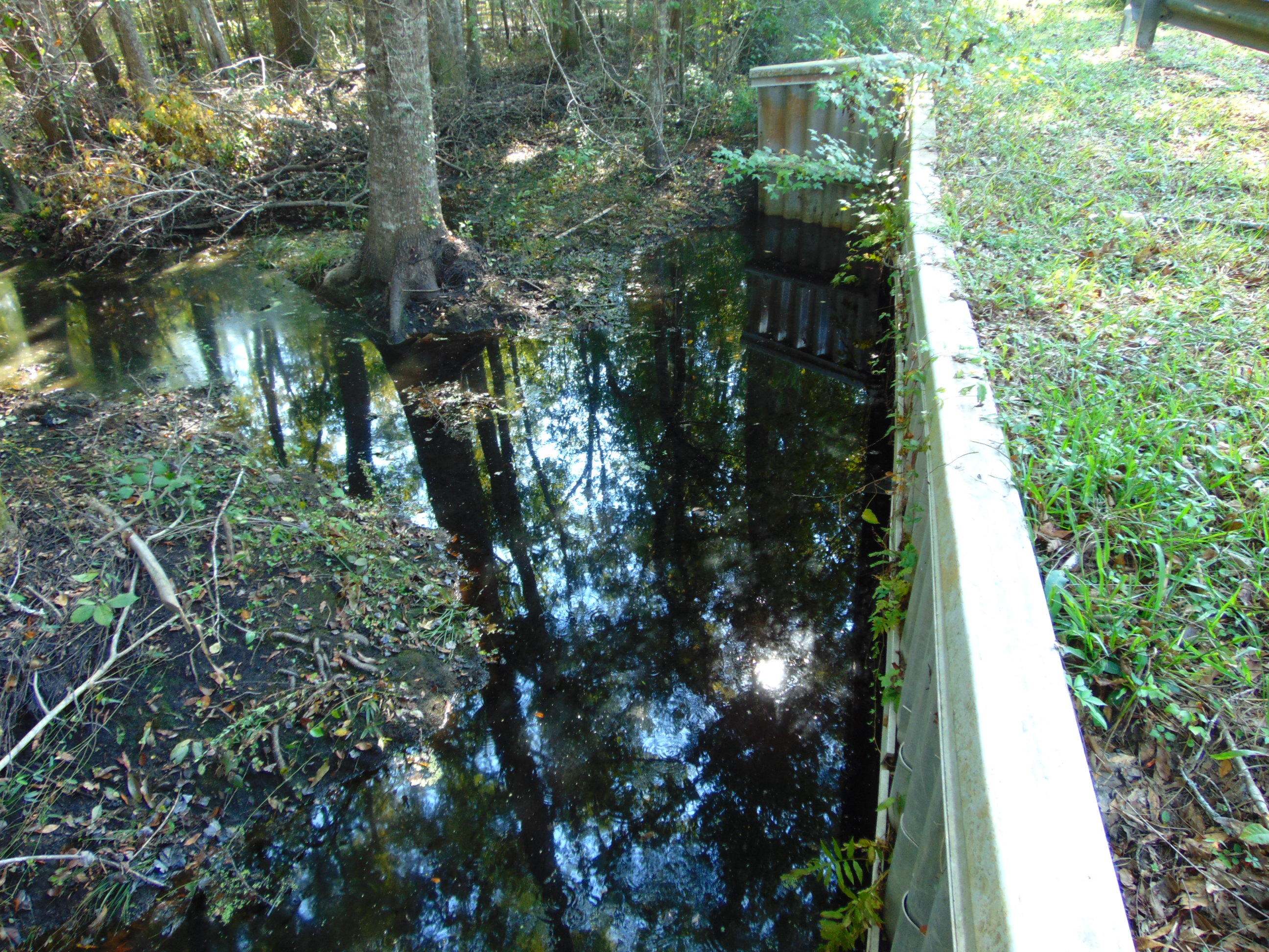 5857 Parkers Ferry Road Adams Run, SC 29426 - Photo 22 of 22 DSC00147