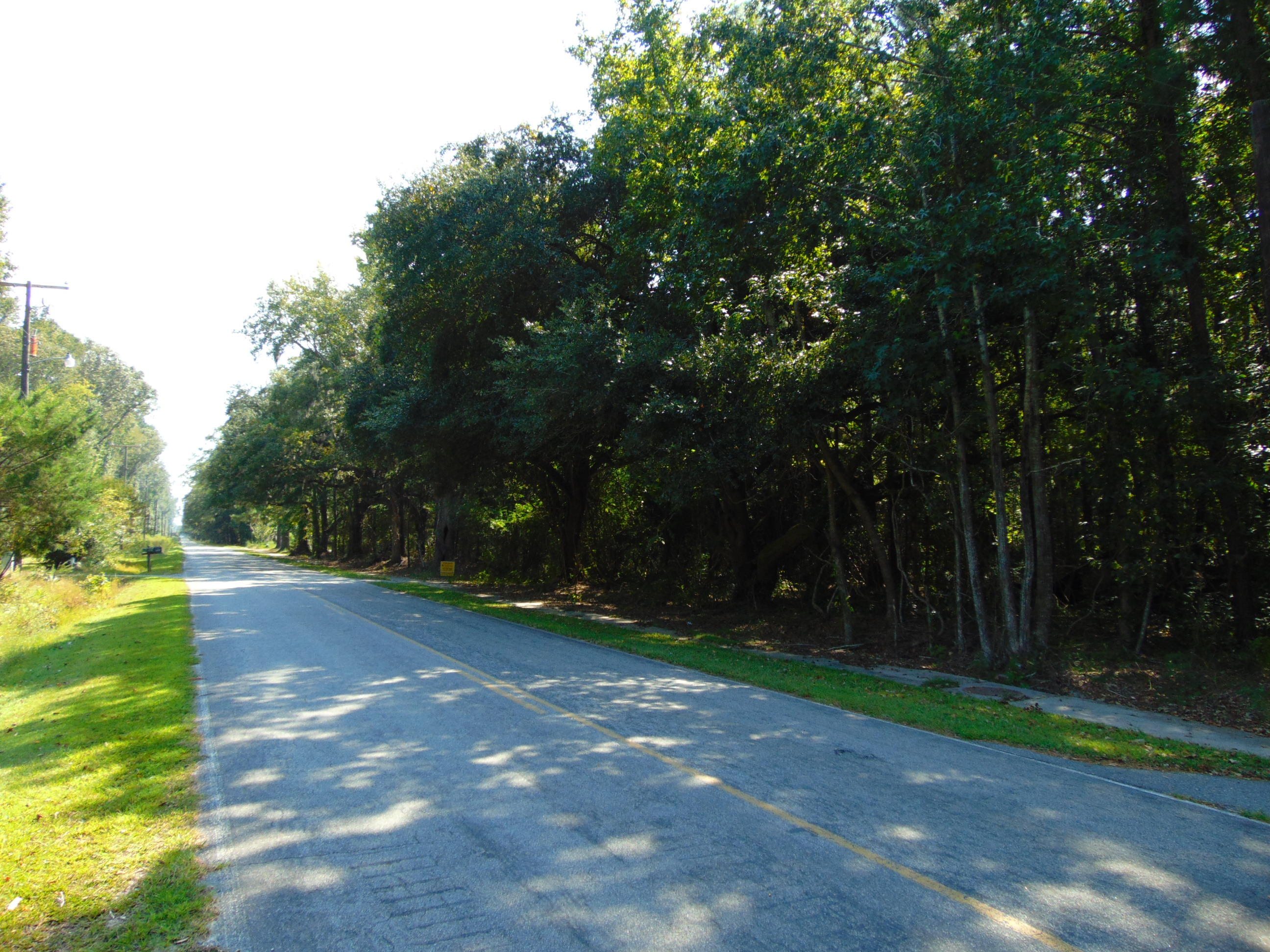 5857 Parkers Ferry Road Adams Run, SC 29426 - Photo 4 of 22 DSC00119