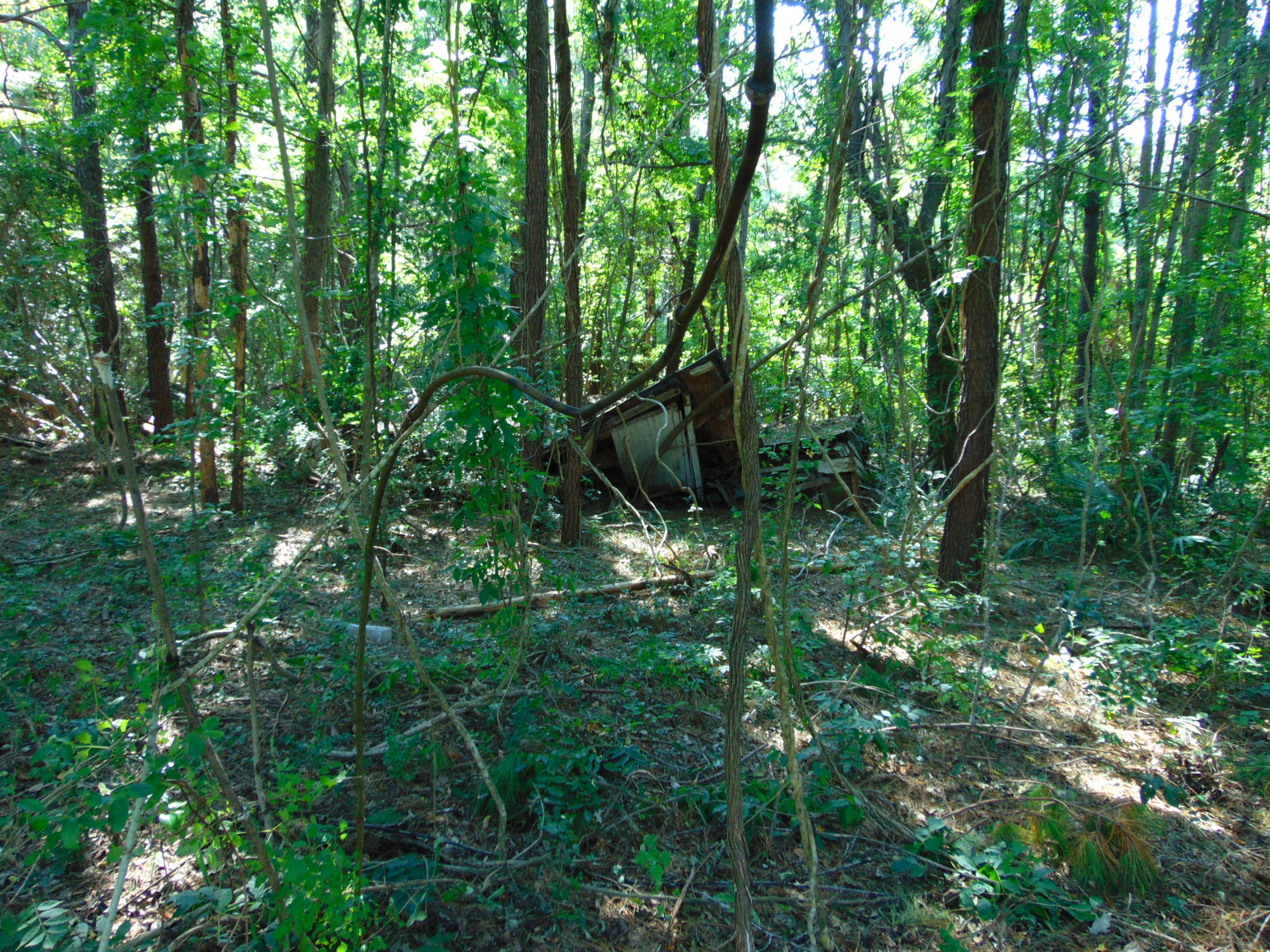5857 Parkers Ferry Road Adams Run, SC 29426 - Photo 6 of 22 DSC00120
