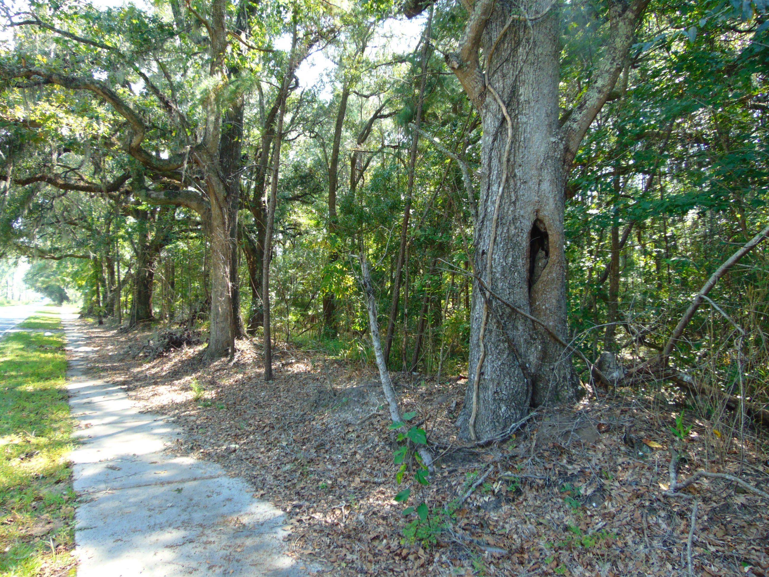 5857 Parkers Ferry Road Adams Run, SC 29426 - Photo 7 of 22 DSC00121