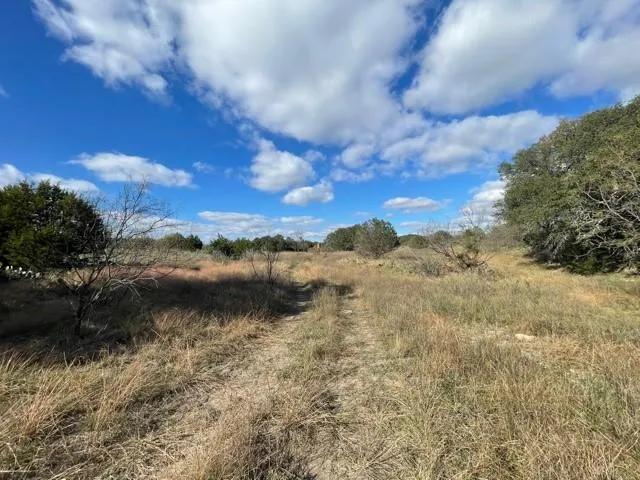 a view of a dry yard