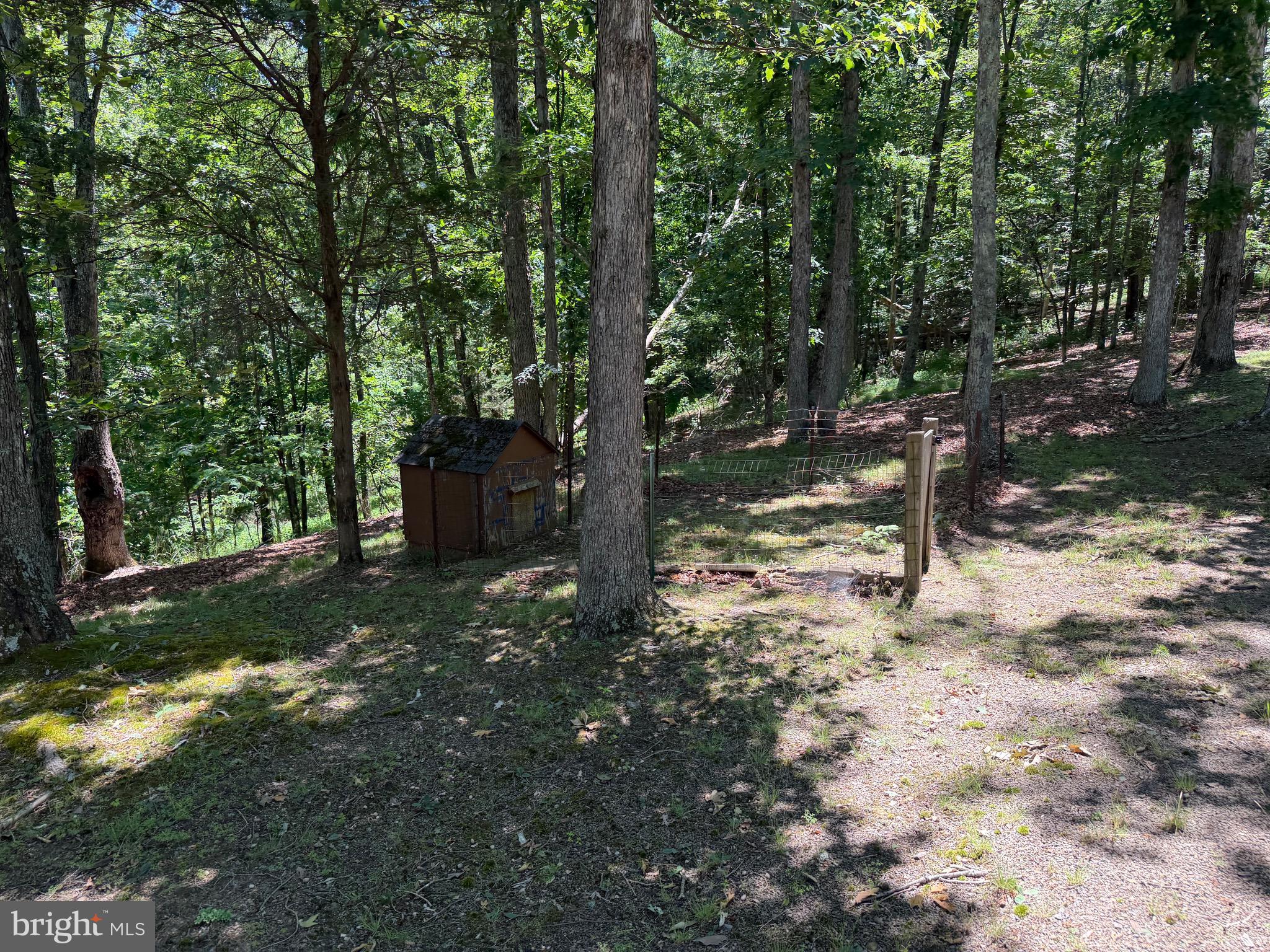 511 Chickadee Road Purgitsville, WV 26852 - Photo 57 of 99