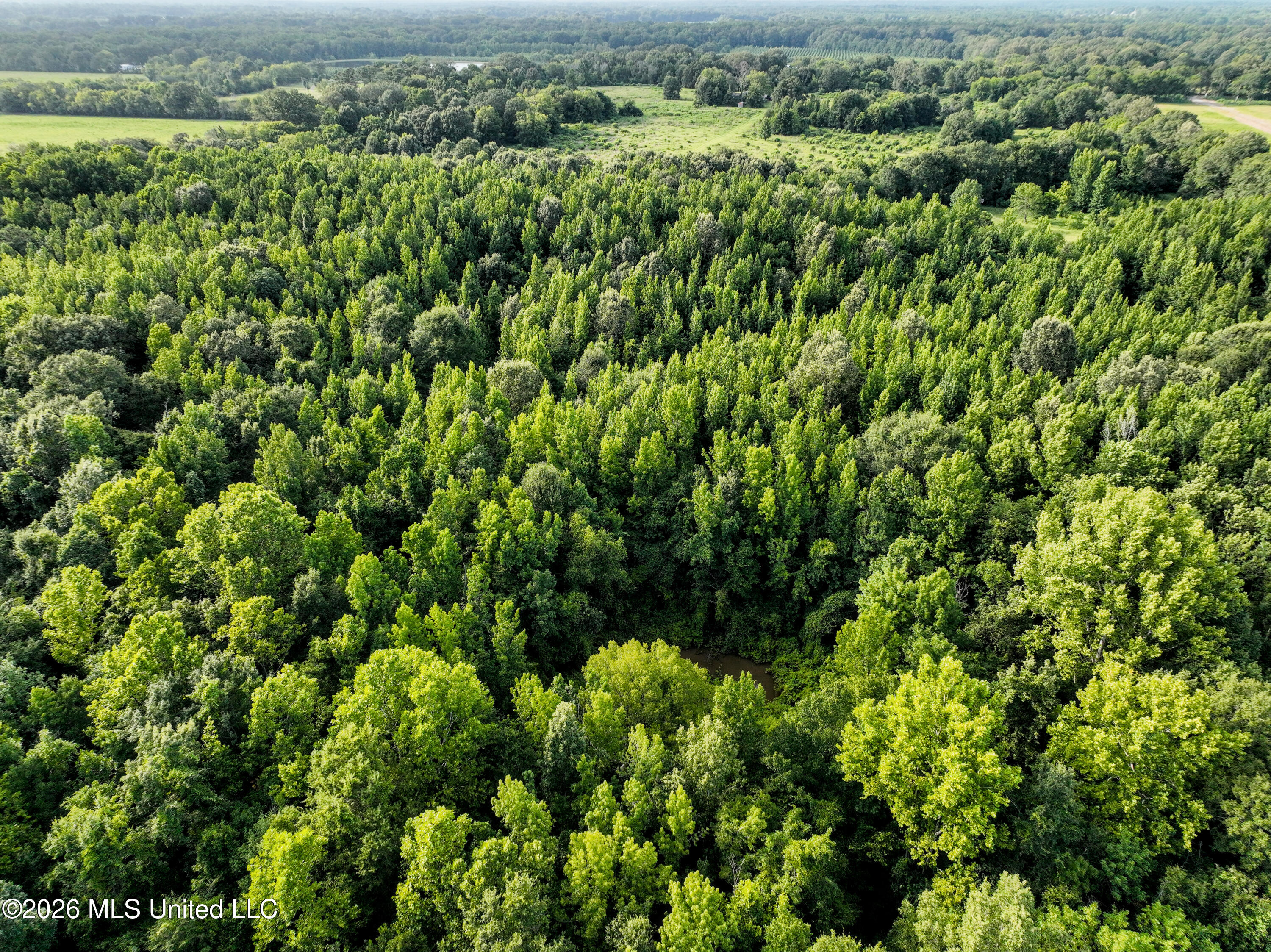 275 Dampeer Road Canton, MS 39046 - Photo 20 of 20 South