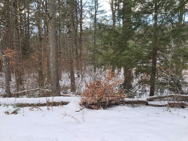 $75,000 | 0 Old Marlow Road, Gilsum, NH 03448