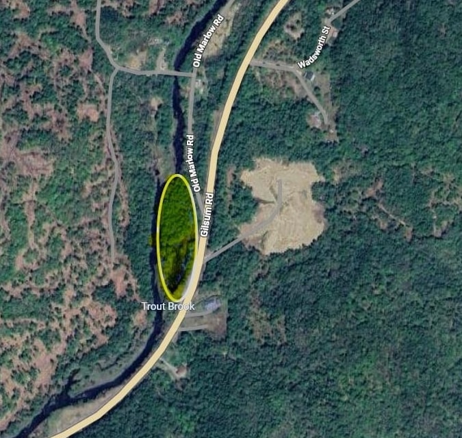 0 Route 10 Highway Gilsum, NH 03448 - Photo 11 of 12