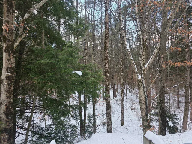 $75,000 | 0 Route 10 Highway, Gilsum, NH 03448