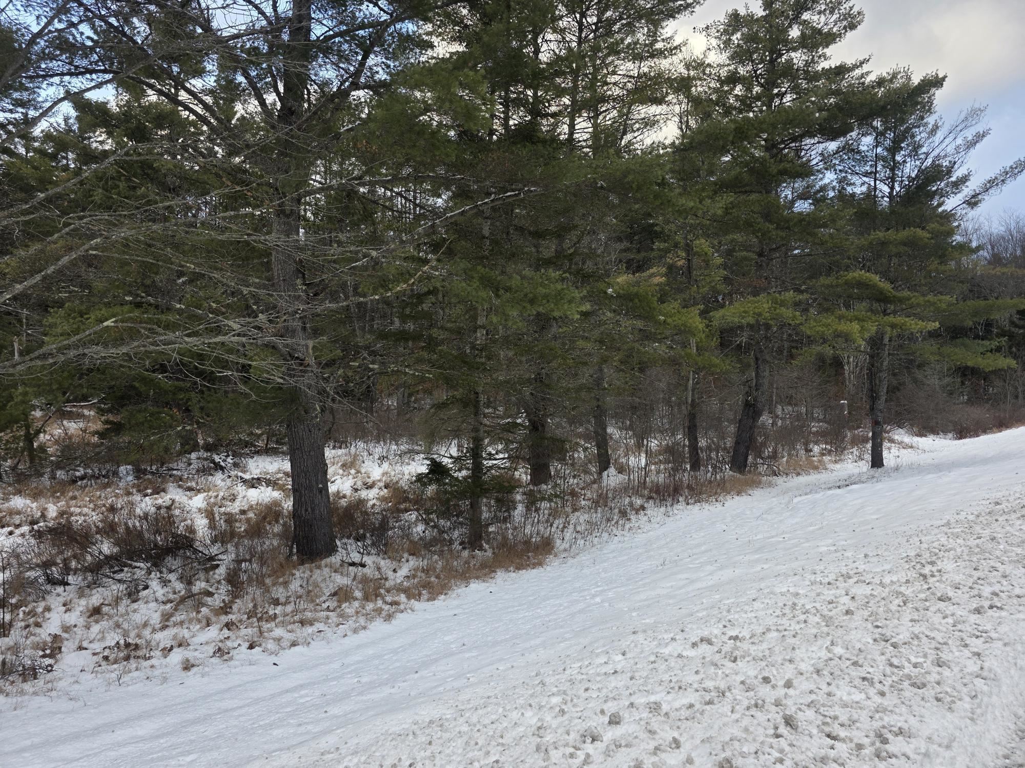 0 Route 10 Highway Gilsum, NH 03448 - Photo 5 of 12