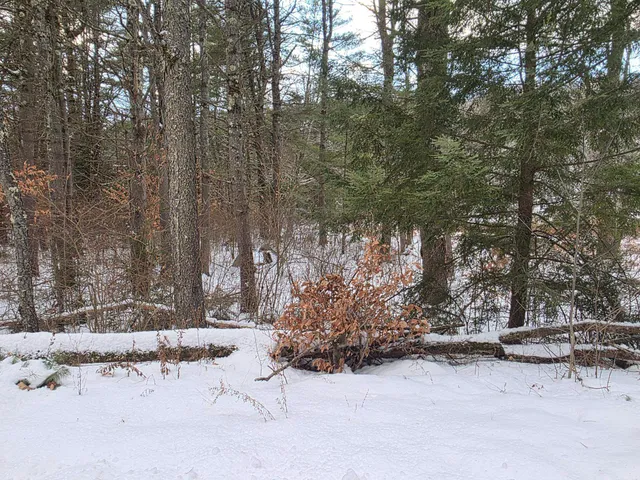 $75,000 | 0 Route 10 Highway, Gilsum, NH 03448