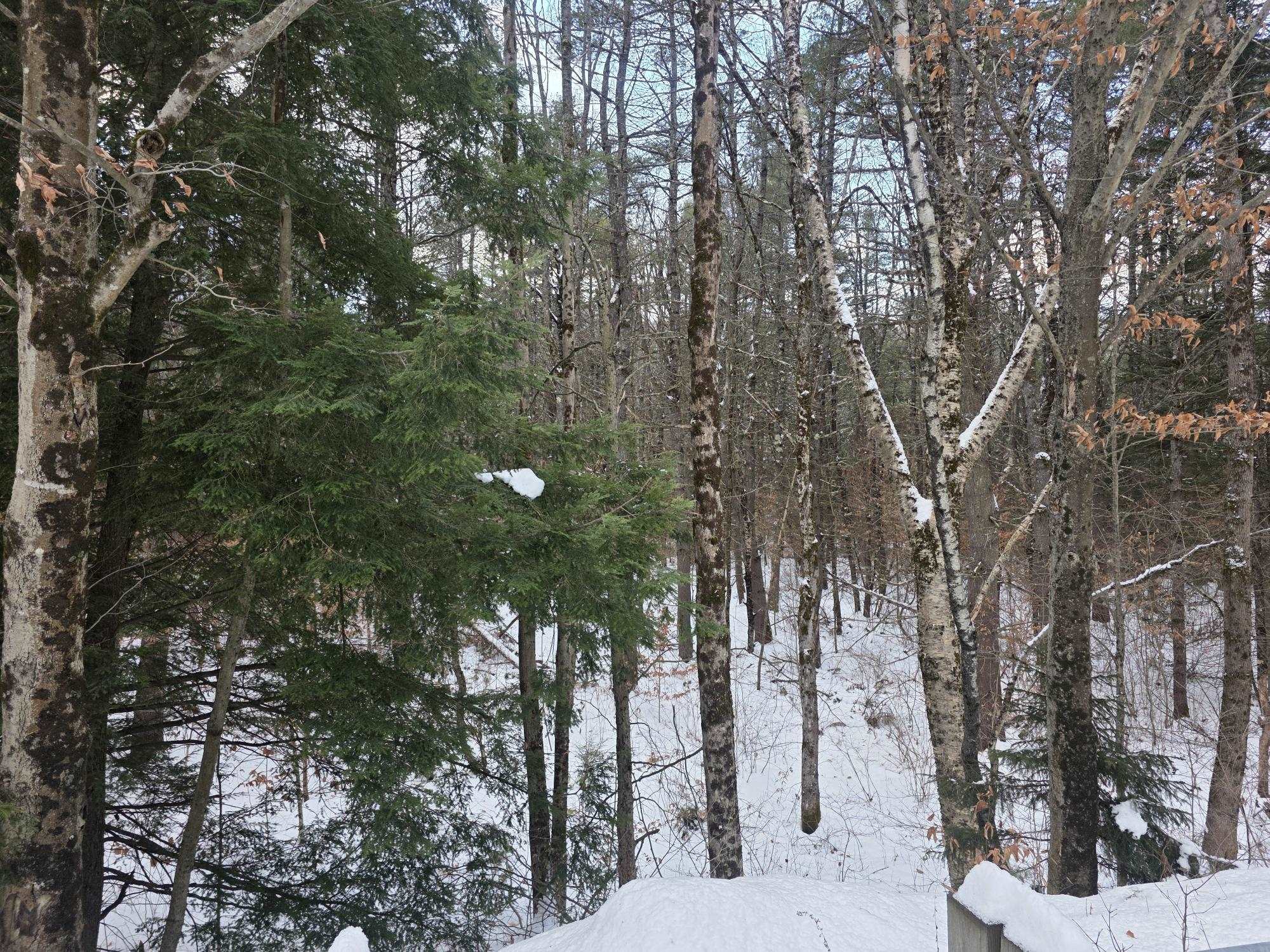 0 Old Marlow Road Gilsum, NH 03448 - Photo 7 of 17